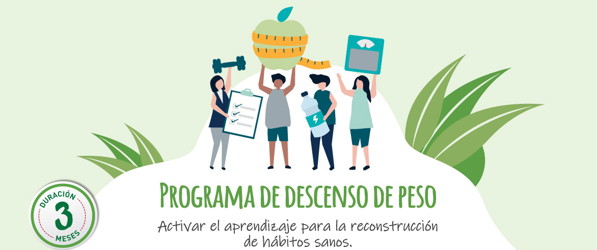 escuela saludable